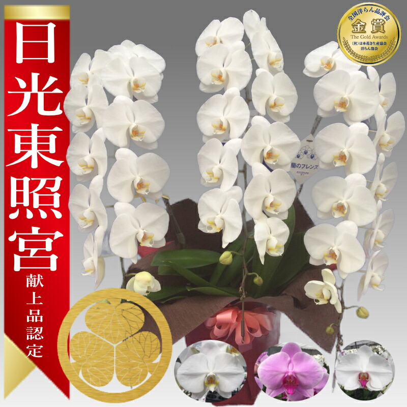リピート多数 最短翌日お届け MW7CK0KF7T6 型番:MW7CK0KF7T6