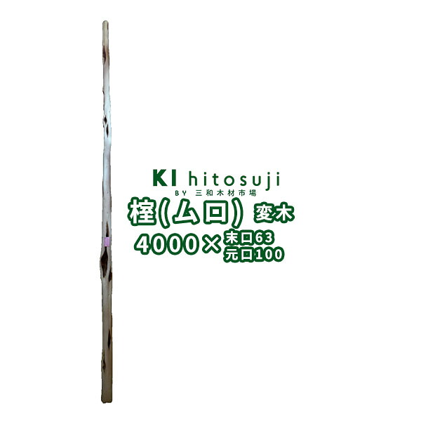 main16060365.jpg