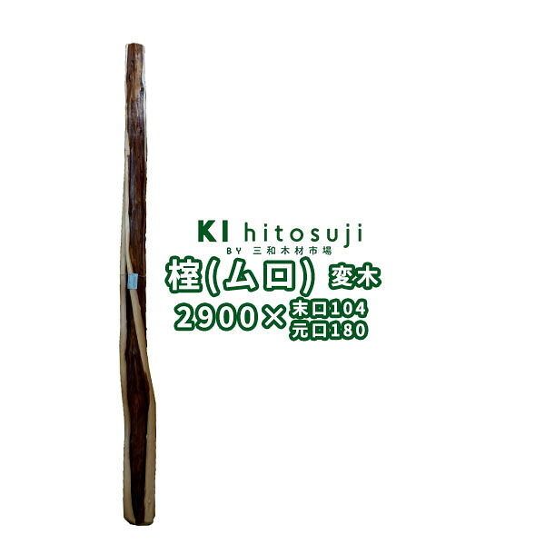 【変木】榁(ムロ) 長さ2.9m 末口幅104mm 16060369 ΔDIY 木材 材料 変木 丸太 床の間 茶室 自然木 天然木 ショーウインドウ ウィンドウディスプレイ イベント 大道具 ムロΔ|木一筋 店