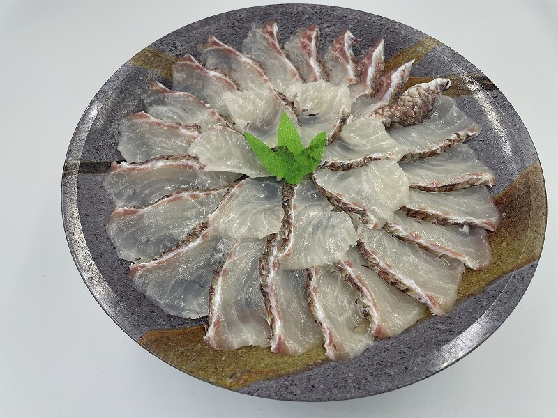 [楽天1位] マダイしゃぶしゃぶセット (2～3人前) スープ 玄米 リゾット【真鯛 鯛 タイ 高級魚 鯛しゃぶ 海鮮鍋 鯛めし 新鮮 海鮮 グルメ おいしい おすすめ 人気 ギフト 伊勢神宮奉納酒用 生姜  贈答 お中元 正月 御歳暮 お歳暮 御祝 内祝 送料無料 養殖 】