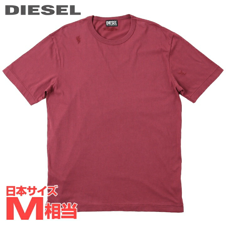 25/26秋冬★リヨセル素材 本革ロゴマーク付きTシャツ【各色】 die-l-t-c8-268_5.jpg