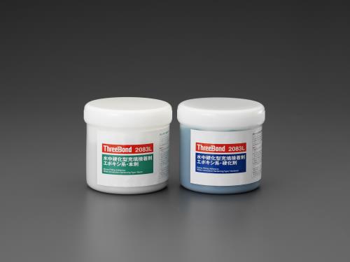 ESCO エスコ 1.0kg 水中固くなる型貼り付ける剤 EA934AA-5A