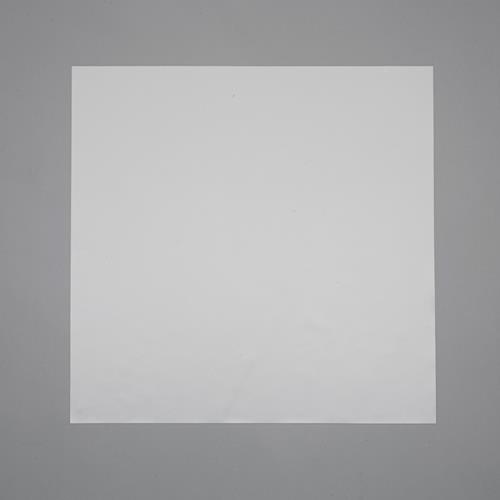 ESCO エスコ 1000x1000x3.0粍 ケイ素樹脂予防医学板 EA997WB-43