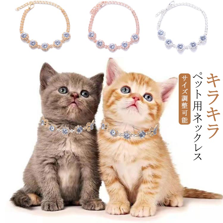 犬用 猫用 帽子 チョーカー おしゃれセット ペット用アクセサリー チョーカー 犬用 猫用 小型犬 中型兼