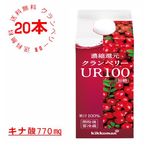 ur2103rak3.jpg