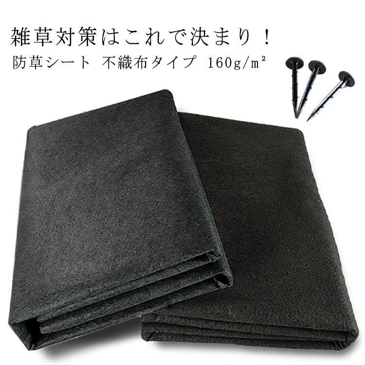 楽天市場】【P5倍！3910円→実質3715円 12/26 01:59まで】160g/m