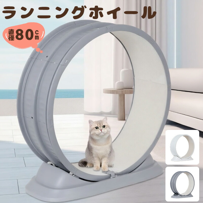 【P10倍! 9050→実際8145円 6/10まで】 キャットホイール トレッドミル 巻き 静音 低騒々しい音 駈けっくら器械 80珊 2色 車輪伝令 愛玩動物 車輪 自走式 回し車 お座敷伝令