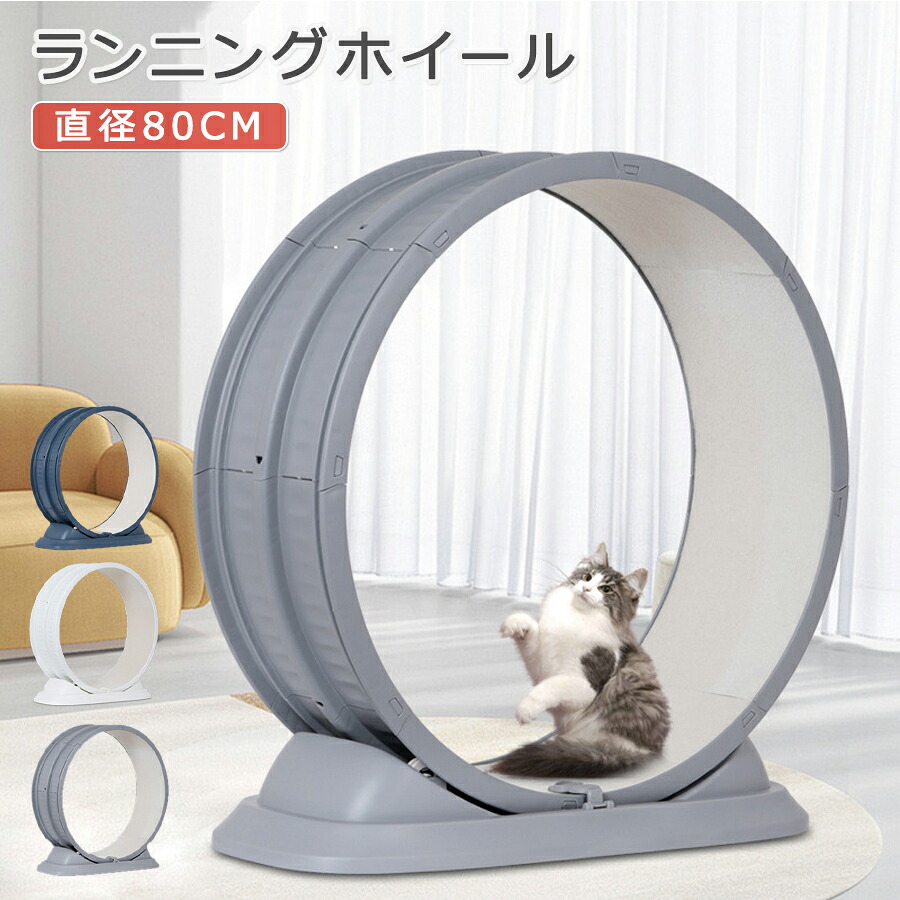 【P10倍! 9058→実際8152円 6/10まで】 【楽になること引きうける商いもの】 キャットホイール トレッドミル 駈けっくら車輪 駈けっくら器械 80珊 2色 車輪伝令 愛玩動物 車輪 自走式 回し車