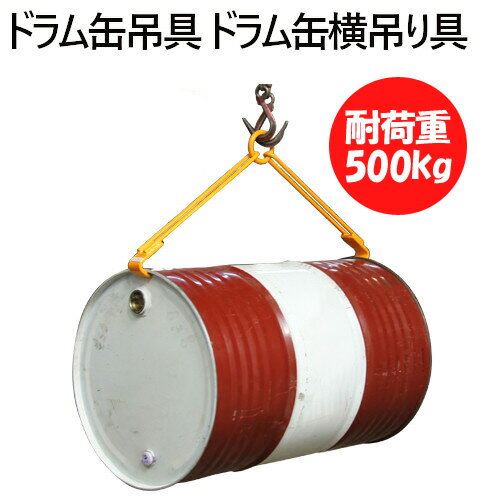 dl500c_1.jpg