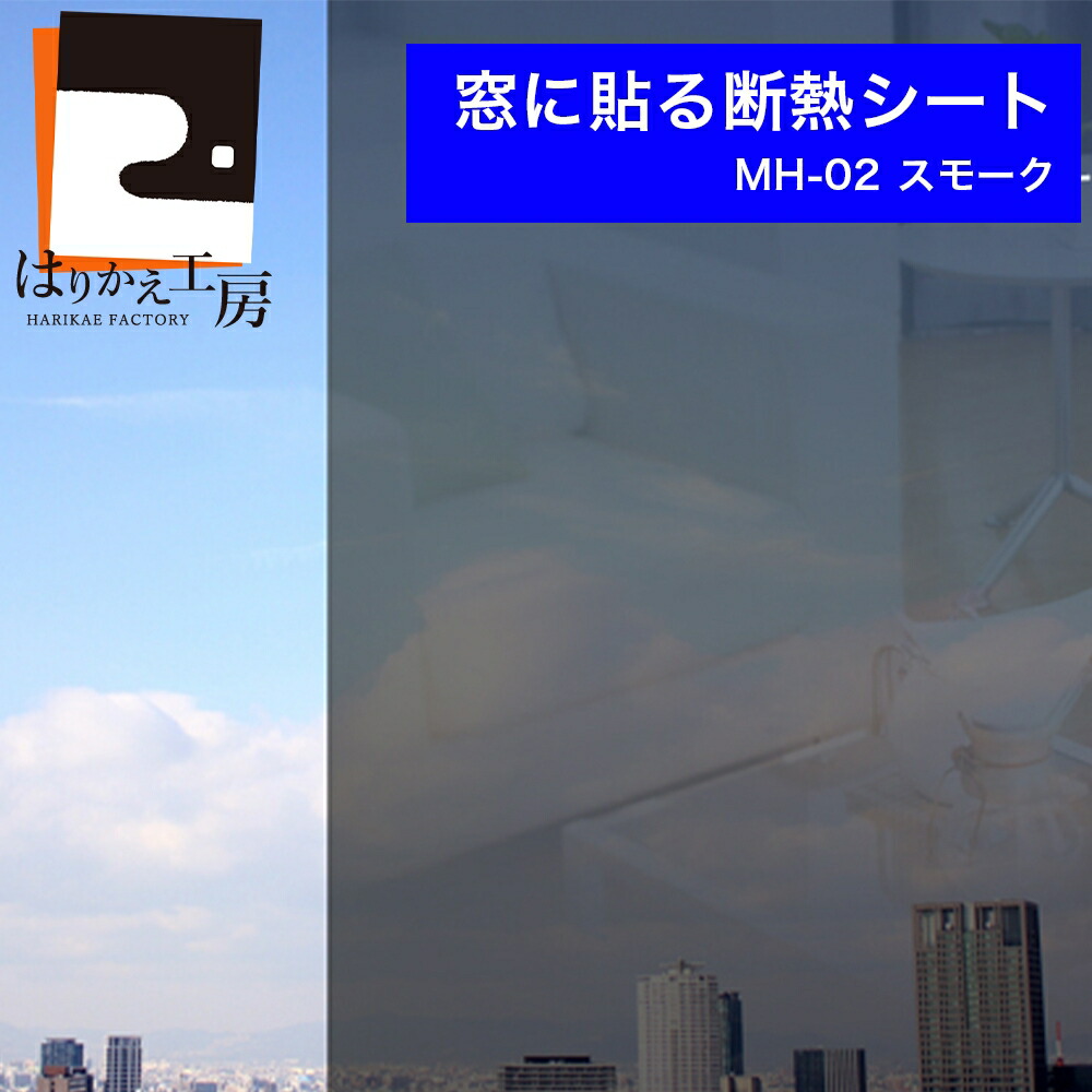 楽天市場】＼ﾎﾟｲﾝﾄｱｯﾌﾟ+ｸｰﾎﾟﾝ／【公式】窓ガラスフィルム 目隠し
