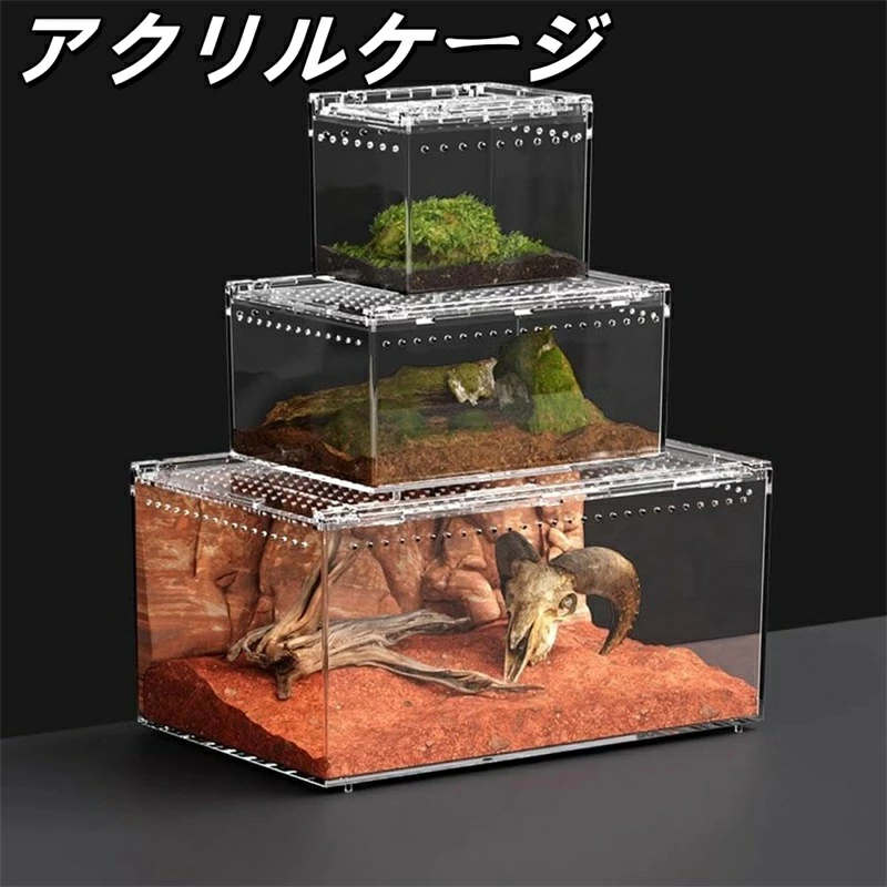 楽天市場】爬虫類ケージ アクリルケージ 爬虫類 飼育ケース 透明 通気