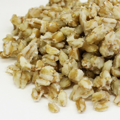 市場 レトルトシリアル スペルト小麦 製パン材料 Rcスペルト 1kg