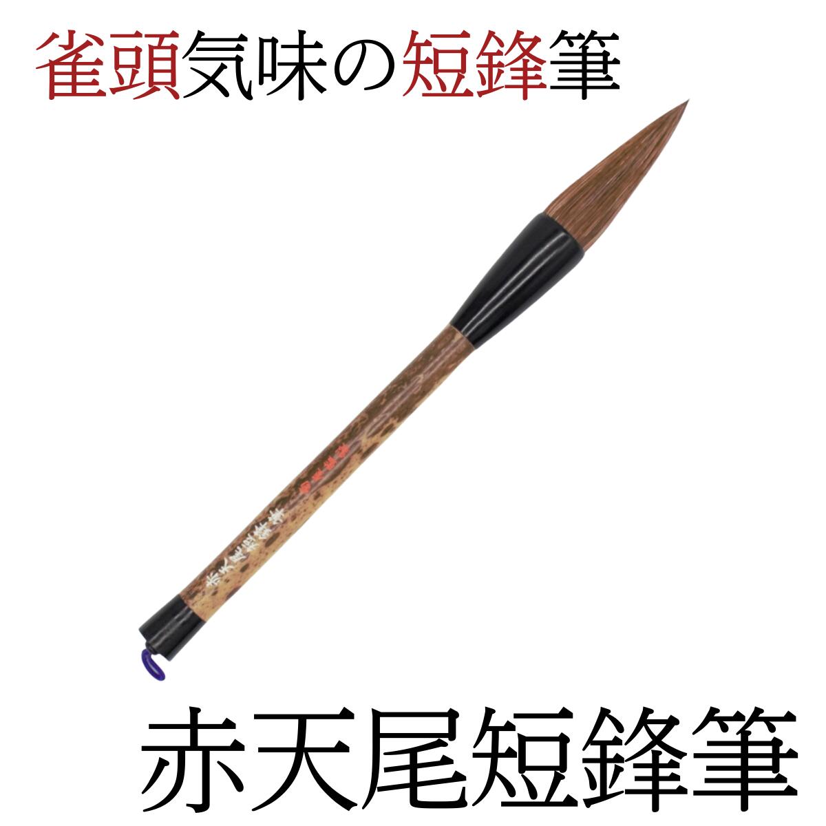 楽天市場】書道 筆 上級者 『 赤天尾 超長鋒筆（小）』 書 長鋒