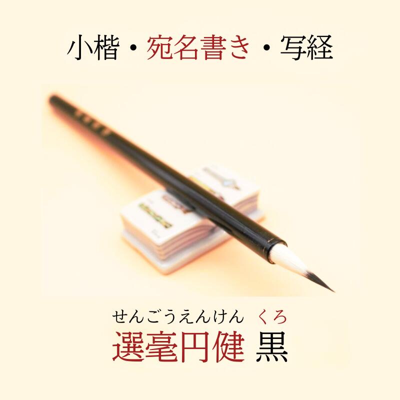 唐筆 選毫圓健16本【新品・未使用品・個包装】オマケ付 楽天市場】≪ポイント5倍＋お得なクーポン発行中≫ 書道 筆 小筆 選毫
