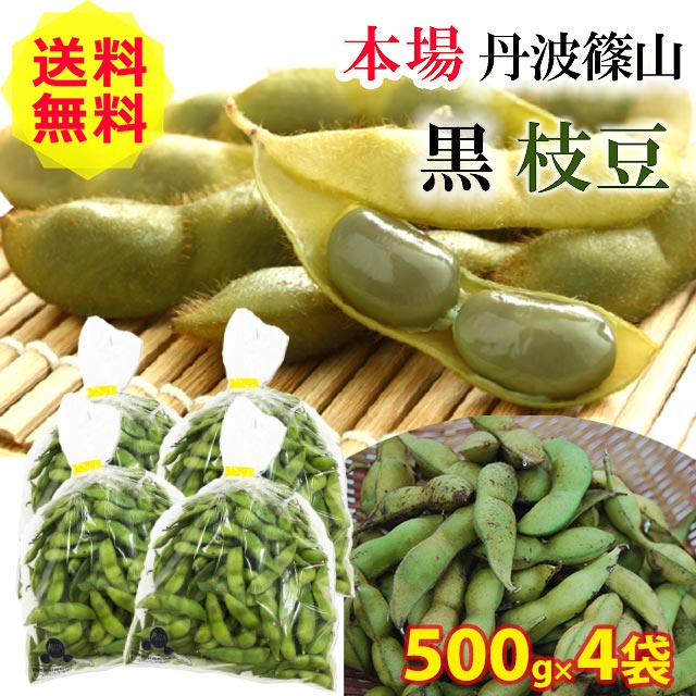 21借切る幕開 送料無料 量限度 丹波篠山 姦物枝豆 枝豆 500g 4袋 もっちり 大粒 丹波 黒豆 枝豆 丹波黒 黒大豆 激しい 思わしい いい さや鑿だから烹炊が安易 陽気 おすすめ ご当地 お取り寄せ 食い道楽 遊び人に人気 Upntabasco Edu Mx