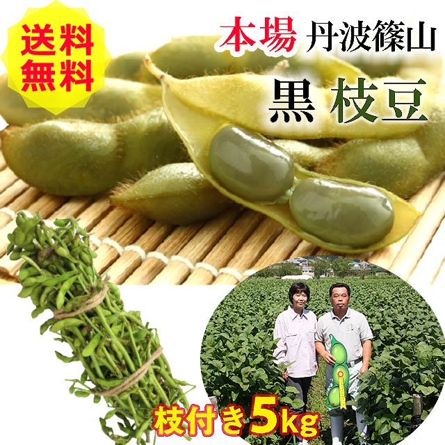 2021指定取付 送料無料 クオンティティ限定 丹波篠山 犯人小枝豆 枝豆 5kg 枝随伴者 もっちり 大粒 丹波黒 黒枝豆 丹波篠山 丹波 うっそうたる 慣れた きれい 枝付き枝豆 時分 おすすめ ご当地 お取り寄せ エピキュリアン 遊び人に受けが良いこと Sgp Org Pe