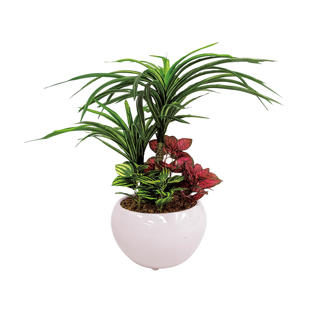 トロピカル寄せ植えポットユッカ（フェイクグリーン） FG1001 トロピカル寄せ植えポットユッカ フェイクグリーン フェイクグリーン高さ約 cm SC触媒の主な特性 消臭効果 御祝 お祝い 内祝い 結婚祝い 出産祝い 快気祝い 粗品 お返し