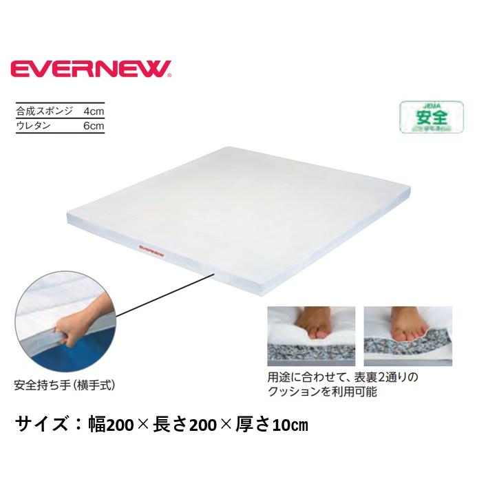 楽天市場】【法人限定】エバニュー 抗菌移動用投込みマット 関東間