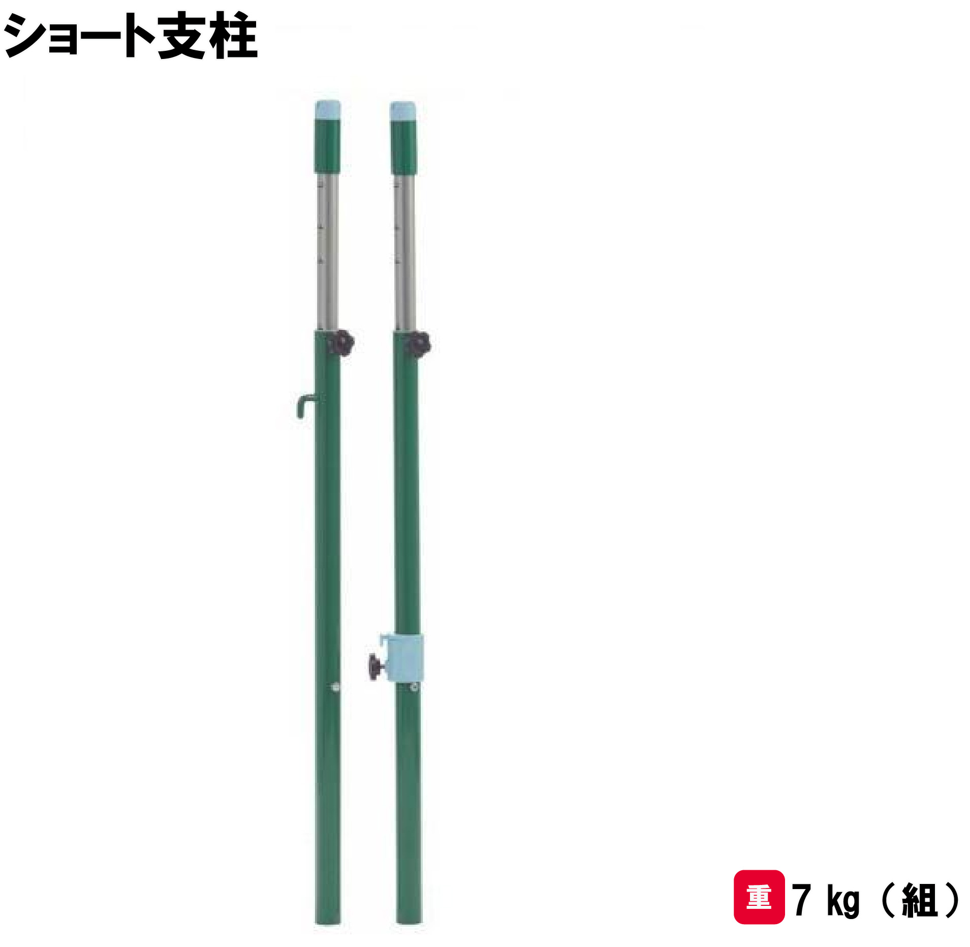 サンワタイイク バドミントン レクリエーション 支柱 ショート 学校 体育館用具 施設 スポーツ用具 三和体育 SANWA TAIKU ショート支柱 S-0455