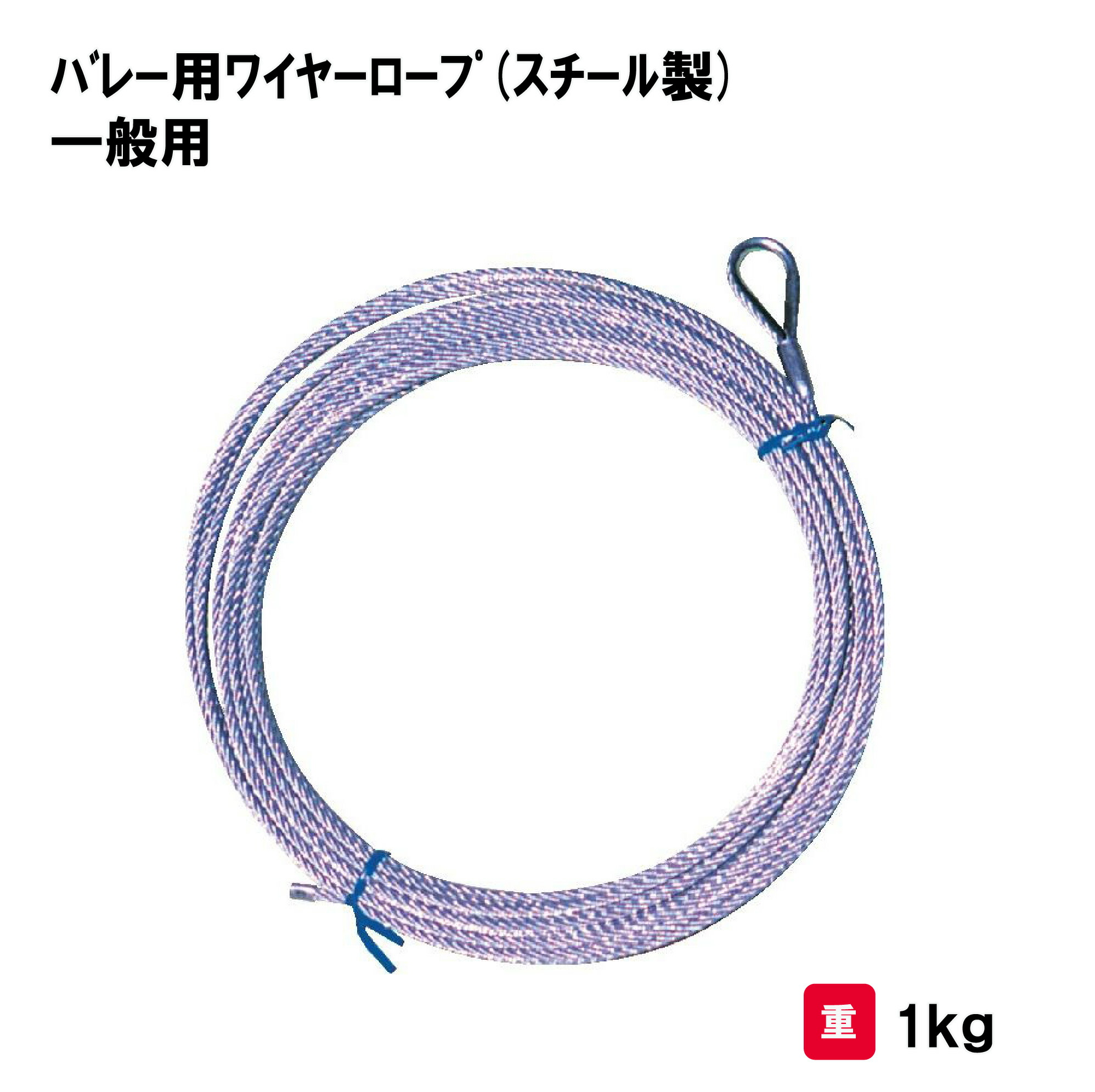 サンワタイイク バレーボール バレー ロープ 学校 施設 体育館 部活 体育用具 スポーツ用具 三和体育 SANWA TAIKU バレー用ワイヤーロープ(スチール製) 一般用 S-3728
