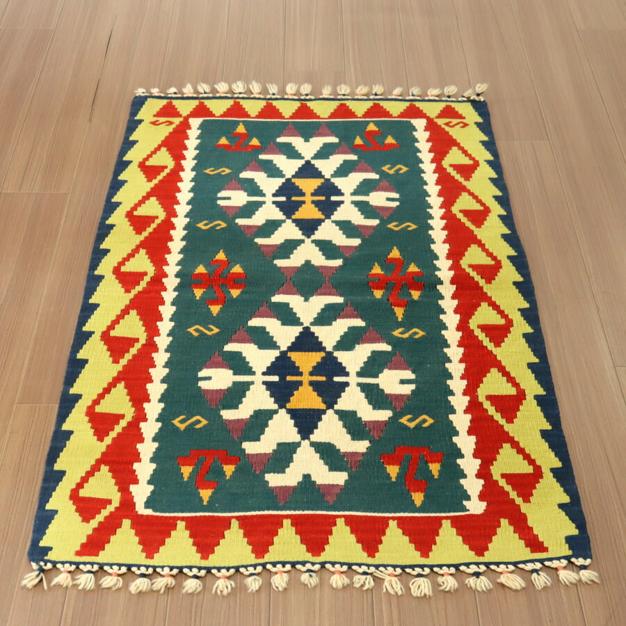 楽天市場】コーデックス：サルコカウロン ヘレー 竜骨城*葉幅3cm