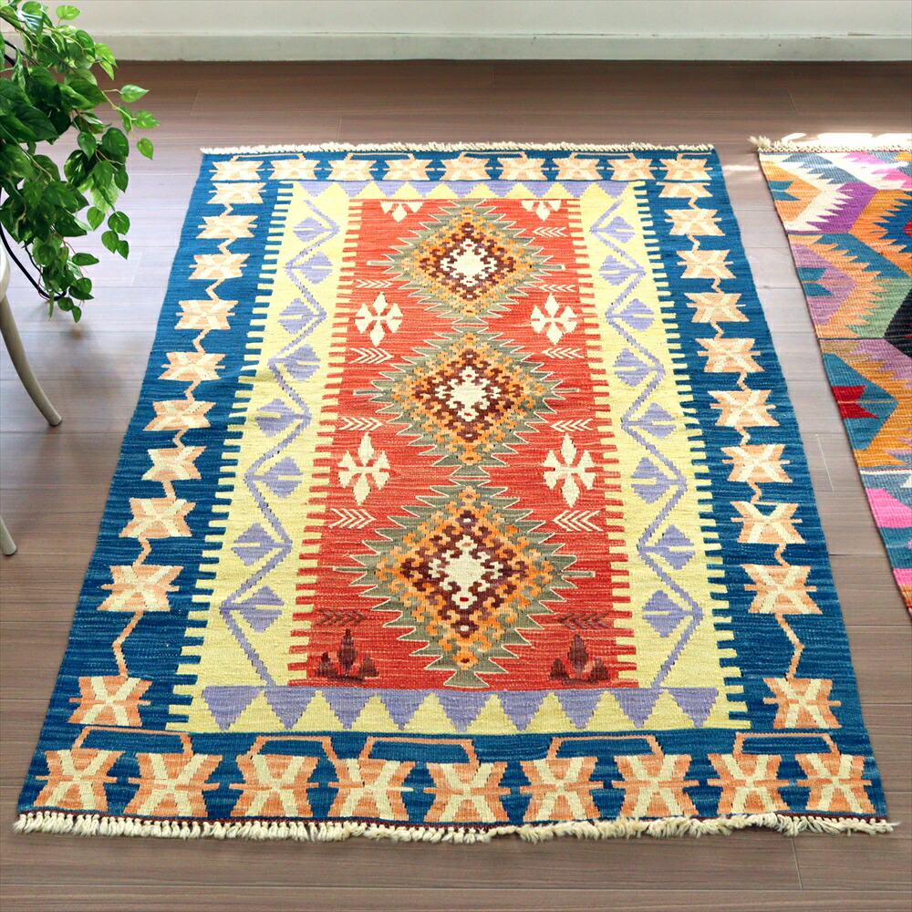 楽天市場】コーデックス：サルコカウロン ヘレー 竜骨城*葉幅3cm