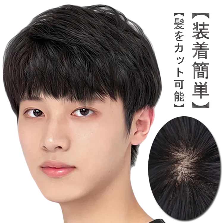 か 人毛100％ 薄毛 スタンダードブラック フルウィッグ ナチュラル 黒髪 自然 かつら 白髪隠し フェザーショート メンズ 医療用
