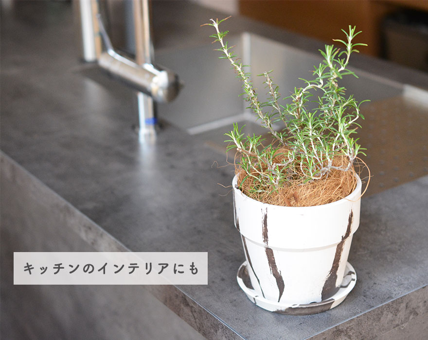 楽天市場 鉢 直径13 5cm 4号鉢 Marble アーバンプランツポット Posh Living 植木鉢 観葉植物 おしゃれ インテリア Urban Plants Pot マーブル 軽量 母の日 樹緑 Kimidori