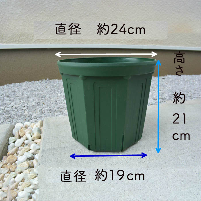 プロの使う とんでもないポット 8号 と樹緑特製 配合のプロの使う土 3個セット ポット 鉢植え ガーデニング プラスチック ベランダ 省スペース 植木 庭木 土 セット 緑 植木鉢 鉢 プロ ウッドデッキ クリスマス Educaps Com Br