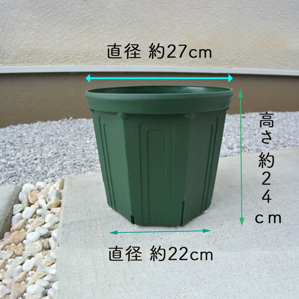 楽天市場 プロの使うとんでもないポット と樹緑特製配合の プロの使う土 9号 ポット 鉢植え ガーデニング プラスチック ベランダ 省スペース 植木 庭木 セット 植木鉢 鉢 土 プロ ベランダ ウッドデッキ 敬老の日 樹緑 Kimidori