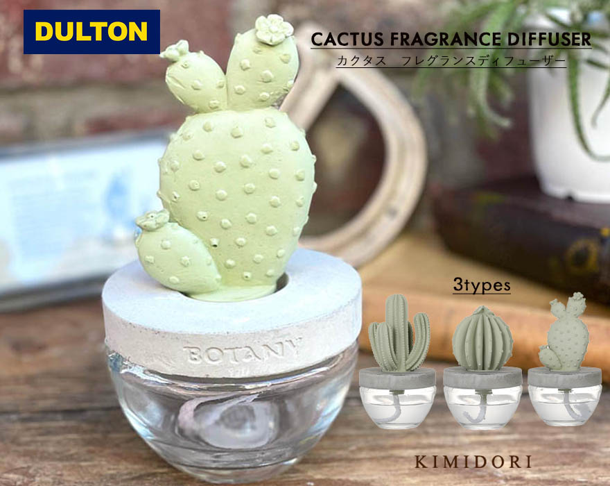 2021年激安 FRAGRANCE DIFFUSER G875-959 WL CG SF AR2 <br>DULTON フレグランス ディフューザー  カクタス アロエ リトル ジェム 芳香剤 香り 造花 サボテン 花 鉢 プレゼント ギフト 部屋 雑貨 植物 ざぼてん ダルトン 80 