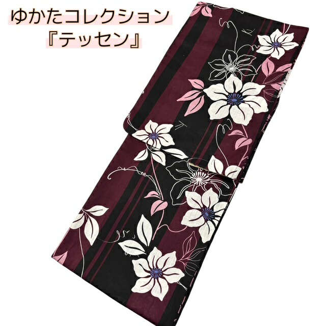きもの美衣の新着案内書