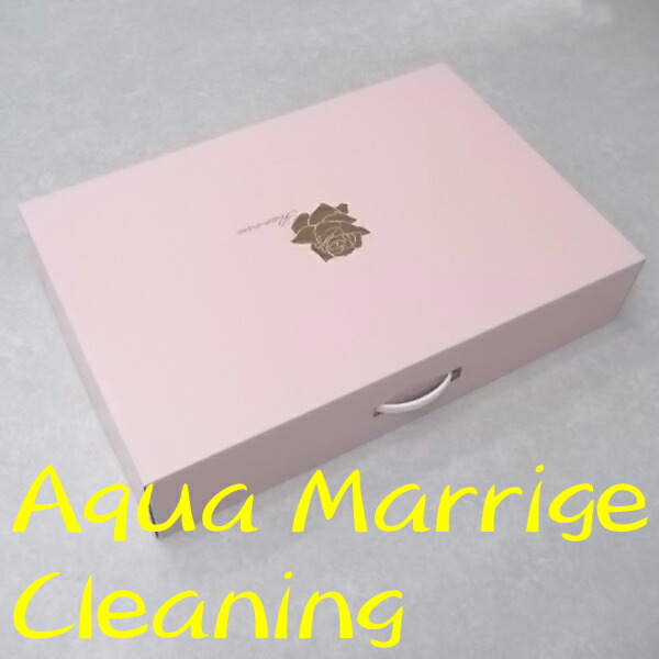 除菌・抗菌・染み抜き・クリーニング済み　真空パック ウェディングドレス9～13号 除菌・抗菌・染み抜き・クリーニング済み 真空パック