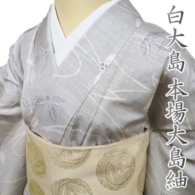 特選 大島紬 白大島 着物 中古 正絹 袷 カジュアル 7マルキ 植物文様 千両 オフホワイト 青系色 身丈160cm 裄65cm M きもの北條 A1320-1 楽天市場】【 中古 】 特選 大島紬 白大島 リサイクル着物 正絹 袷