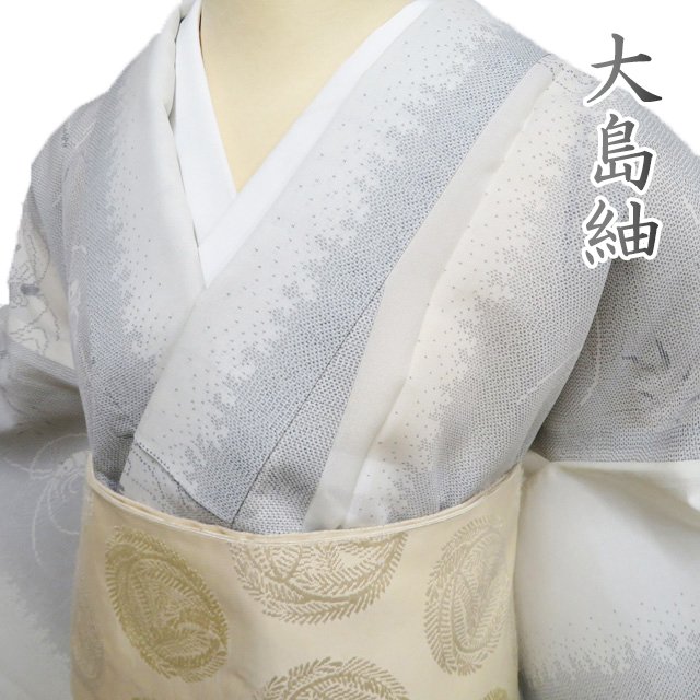 楽天市場】【 中古 】 夏物 大島紬 夏大島 リサイクル着物 正絹  