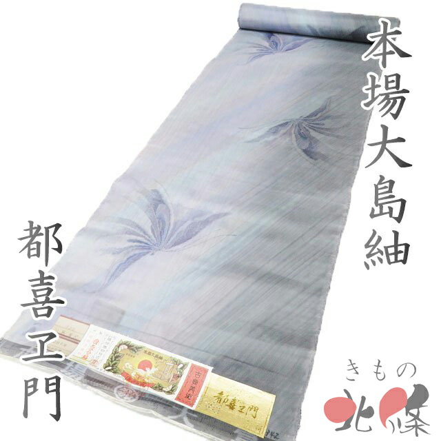 夏物特集 冷やりとしたに纏う盛夏の御召しものと帯