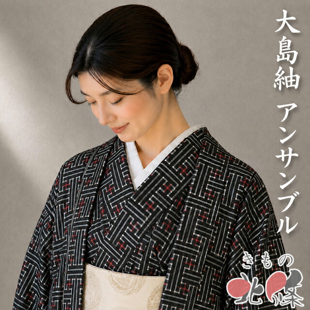夏物特集 冷やりとしたに纏う盛夏の御召しものと帯