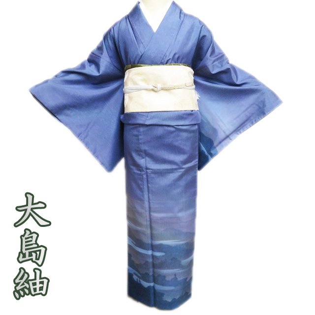 【 中古 】 大島紬 リサイクル着物 正絹 袷 セミフォーマル 作家物 落款 風景 遠山 青紫系色 多色 身丈156.5cm 裄68.5cm M A1267-5 [お茶会 お茶席 茶道 観劇 お食事会 お出かけ 普段着 着付け教室 送料無料 きもの北條]