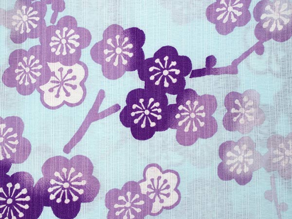 洗える夏着物 コーディネート 4点セット L サイズ 水色地 枝梅柄 夏きもの 半円幾何学柄 絽つづれ 名古屋帯 絽 帯揚げ 平組 帯締め 和装 和服 レディース 女性 カジュアル 普段着 おでかけ お気軽 上品 夏 吸汗速乾 きもの 涼しい 洗える あす楽 送料無料