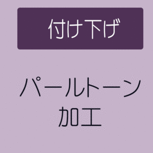 【4/18 20:00-★18thSALE & 10%OFF】【パールトーン加工】 付下げ