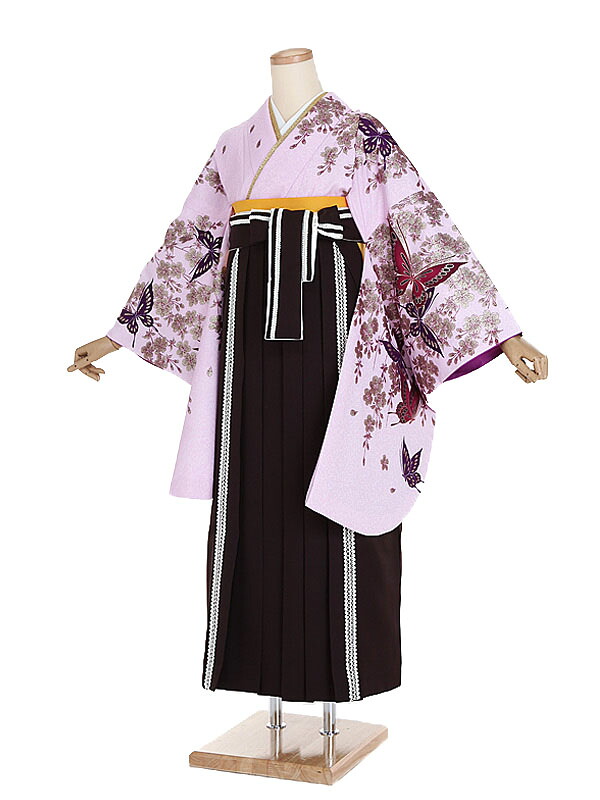 【レンタル】【卒業式袴 ピンク・蝶×刺繍・茶袴】卒業式 袴 レンタル 卒業袴 女袴 卒業式袴セット 大学生 短大 教員 先生 二尺袖袴フルセット 専門学生 謝恩会 高校 文化祭 個性 おしゃれ 被らない 往復送料無料 n619