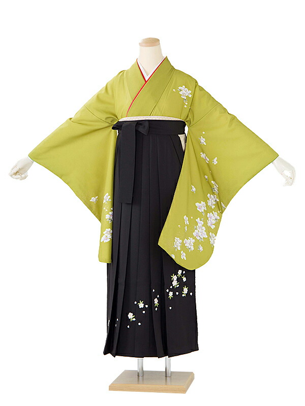 レンタル 卒業袴 身長：158～163cm 黄緑系 着物 × 刺繍 黒 袴 女性 二尺袖 女袴 卒業式 n-0805