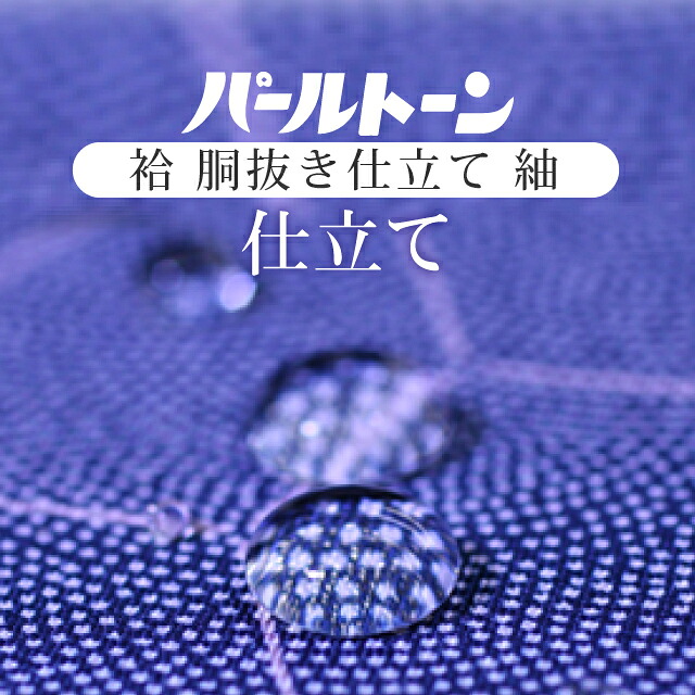 ＼10%OFF+P5倍／ 紬 胴抜き仕立て パールトーン加工 お仕立て セット 紬 撥水 防カビ 汚れも安心 ガード加工 着物の事は全てお任せ下さい 着物ショップ sin8054pt-shitate