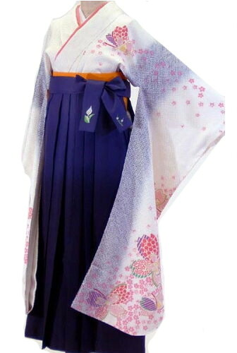 取り引き先のお御召しもの姿