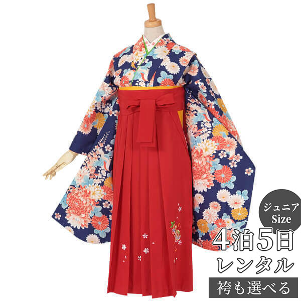 早期お届けキャンペーン【レンタル】【訳あり】袴 レンタル 小学生 女の子〔AG082〕青 菊と藤の花(A069)卒業式 ジュニア 卒服 フルセット 十三参り 貸衣装 子供用|京都着物レンタル夢館