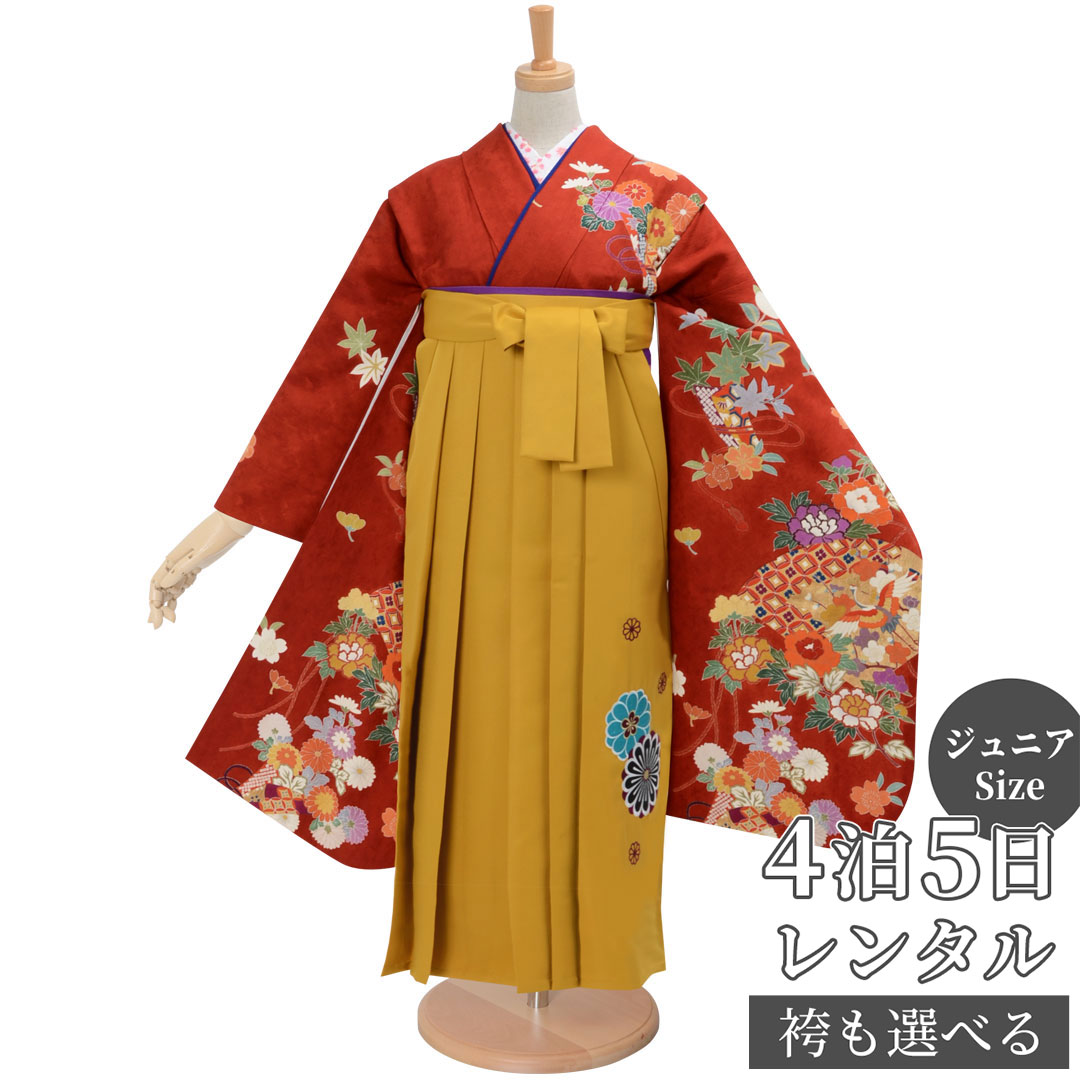 早期お届けキャンペーン【レンタル】袴 レンタル 小学生 女の子〔AG280〕赤茶 菊もみじ扇文(絹)卒業式 ジュニア 卒服 フルセット 十三参り 貸衣装 子供用|京都着物レンタル夢館