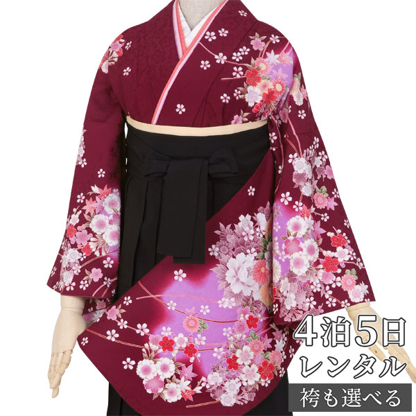 【レンタル】卒業式 袴 レンタル 女 フルセット 女性 袴セット「G363エンジ　牡丹に菊と桜」レトロ はかま 着物セット 和服 大学 レディース 往復送料無料｜京都着物レンタル夢館