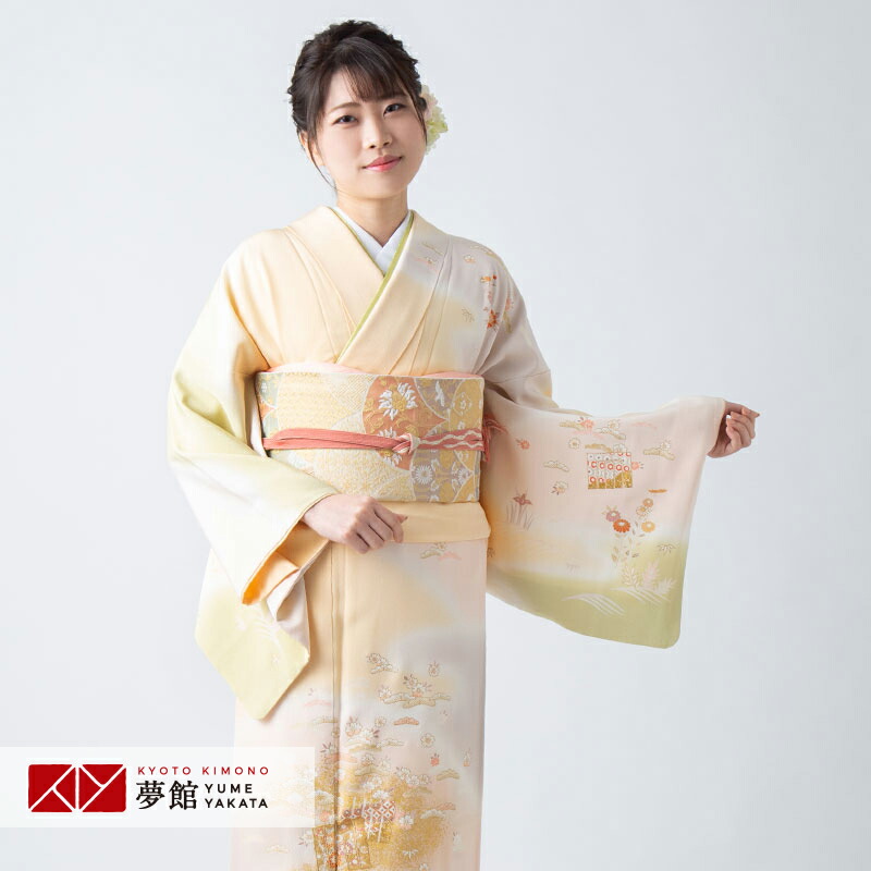 レア　希少　アンティーク着物 　淡いピンクの訪問着　紋付き 訪問着 一つ紋 菊と椿 - からん::アンティーク着物・リサイクル