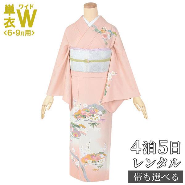 身丈155 アンティーク夏着物 訪問着 ジョーゼット 単衣 h751-0.jpg