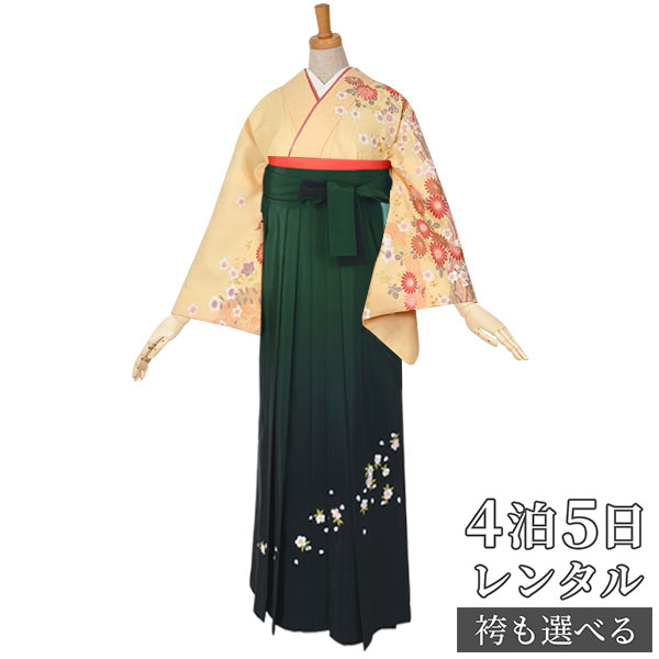 【レンタル】袴 レンタル 先生 女 袴セット 教員 職員 先生〔HG102〕 黄色　菊と白梅 ポリエステル 卒業式 袴 フルセット 女性 はかま ハカマ レンタル 貸衣装 かしいしょう 送料無料(一部地域を除く)｜京都着物レンタル夢館